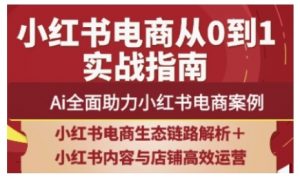 2025小红书电商全链路运营，Ai全面助力小红书电商案例-聊项目