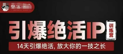 引爆绝活IP训练营，14天引爆绝活，放大你的一技之长-聊项目