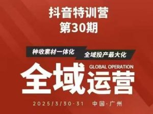 抖音特训营第30期线下培训资料，没有录音视频，正版整理的脑图资料及学员总结核心点-聊项目