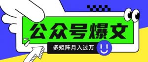 使用DeepSeek十分钟写100篇公众号爆文，多账号矩阵操作轻松月入过W-聊项目