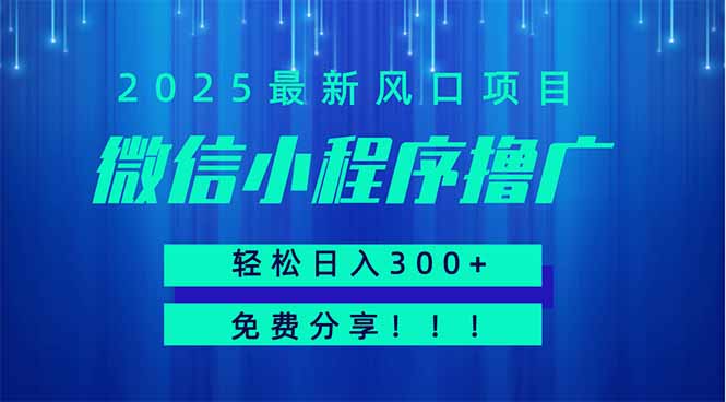 微信小程序撸广，最新风口项目，日入300+ 免费分享 可批量操作 小白可…-聊项目