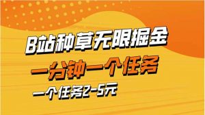 b站种草暴力掘金，一分钟一个任务，一个任务2-5元-聊项目