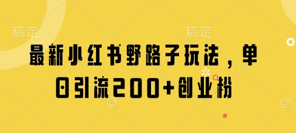 最新小红书野路子玩法，单日引流200+创业粉-聊项目