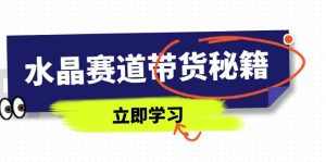 水晶赛道带货秘籍，国学结合、短视频起号、拍摄技巧、直播话术等内容-聊项目