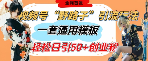 视频号“野路子”玩法，评论区疯狂截流，一套模板单日单号引流50+创业粉-聊项目