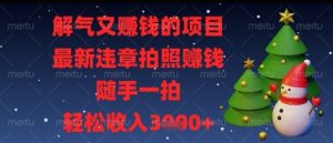 解气又挣钱的项目，最新违章拍照挣钱，随手一拍，轻松收入多张【揭秘】-聊项目