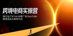跨境电商实操营：独立站/TikTok/谷歌广告/YouTube，精准选品与高效引流-聊项目