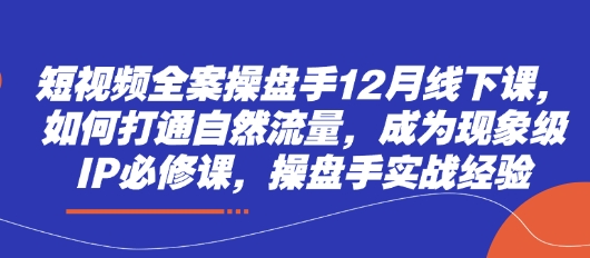 短视频全案操盘手12月线下课，如何打通自然流量，成为现象级IP必修课，操盘手实战经验-聊项目