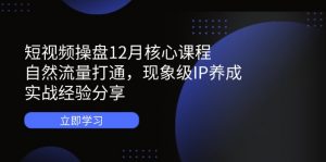 短视频操盘12月核心课程:自然流量打通,现象级IP养成,实战经验分享-聊项目