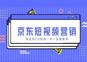 京东短视频营销项目，专业MCN机构一对一实操教学-聊项目