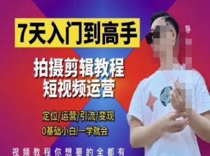 7天入门到高手,短视频剪辑运营高手课,定位 运营 引|流 变现,0基础小白一学就会-聊项目