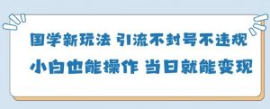国学新玩法，引流不封号不违规小白也能操作，当日就能变现-聊项目