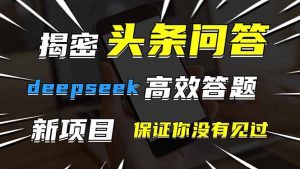 头条问答,刚出的新玩法!保证你没见过!用DeepSeek去高效答题,一个账…-聊项目