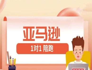 亚马逊1对1陪跑课(FBA/FBM精铺)跨境亚马逊教程-聊项目