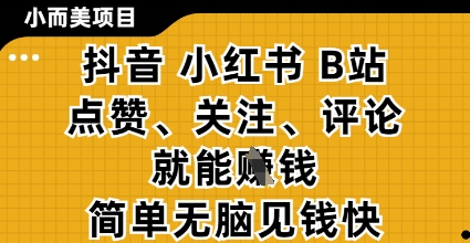 小而美的项目，抖音小红书B站视频点赞、关注、评论就能挣钱，简单无脑立见收益，妥妥的零撸项目【揭秘】-聊项目