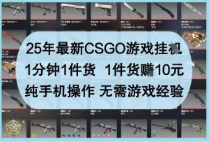 25年最新CSGO游戏挂G，1分钟1件货，1件货挣10元，纯手机操作，无需游戏经验【揭秘】-聊项目