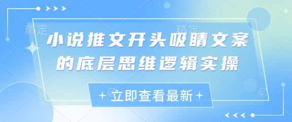 小说推文开头吸睛文案的底层思维逻辑实操-聊项目