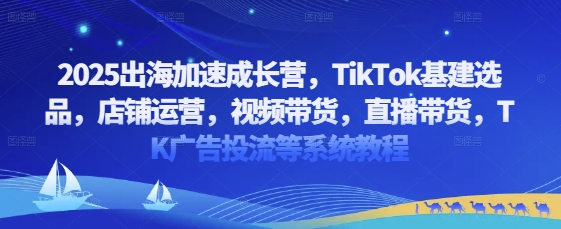 2025出海加速成长营，TikTok基建选品，店铺运营，视频带货，直播带货，TK广告投流等系统教程-聊项目