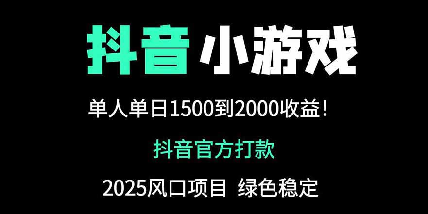 抖音官方小游戏2025全网最新玩法，暴利赚钱项目，单机日入2000+-聊项目