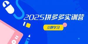 2025拼多多实训营:深度剖析运营关键,助力电商人快速提升-聊项目
