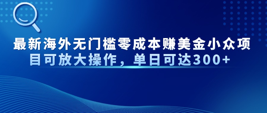 最新海外无门槛零成本赚美金小众项目可放大操作，单日可达300+-聊项目