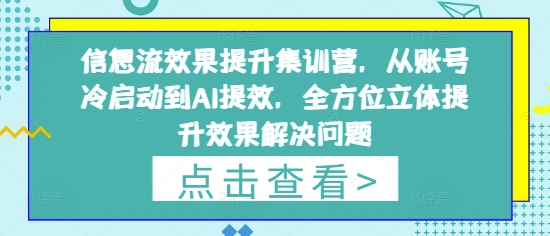 信息流效果提升集训营，从账号冷启动到AI提效，全方位立体提升效果解决问题-聊项目