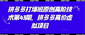 拼多多打爆班原创高阶技术第43期,拼多多高价虚拟项目-聊项目