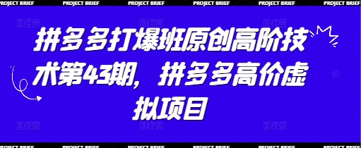 拼多多打爆班原创高阶技术第43期，拼多多高价虚拟项目-聊项目
