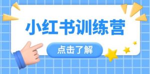 小红书训练营,助小白入门,掌握技巧变达人,课程实操又全面(12节课)-聊项目