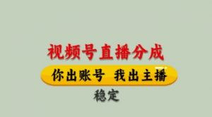 视频号直播分成，全程托管招募，单月轻松变现8k【揭秘】-聊项目
