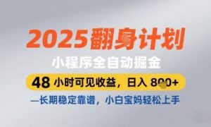 2025小程序全自动掘金,48 小时可见收益,日入8张,长期稳定靠谱,小白宝妈轻松上手【揭秘】-聊项目