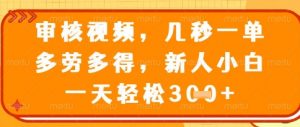 视频审核员，几秒一单，不限时间，不限地点，多做多得，新人小白一天轻松几张+【揭秘】-聊项目