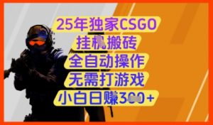 25年独家CSGO挂G搬砖，全自动操作，无需打游戏，小白日入3张+【揭秘】-聊项目
