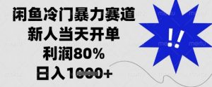 闲鱼冷门暴力赛道，新人当天开单，利润80%，日入1k+【揭秘】-聊项目
