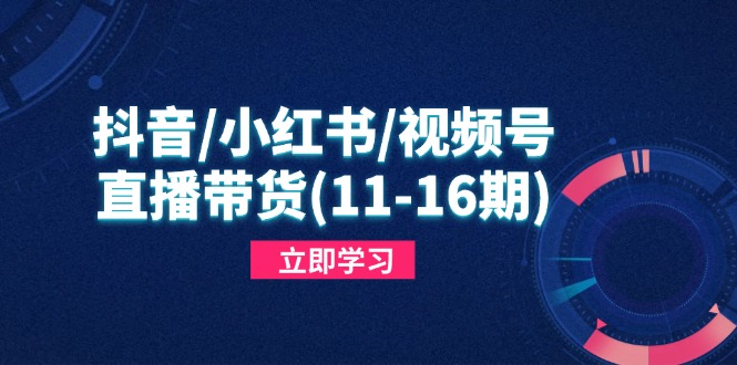 抖音/小红书/视频号/直播带货(11-16期-聊项目