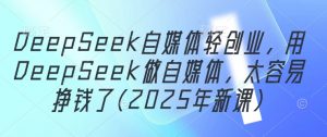DeepSeek自媒体轻创业，用DeepSeek做自媒体，太容易挣钱了(2025年新课)-聊项目
