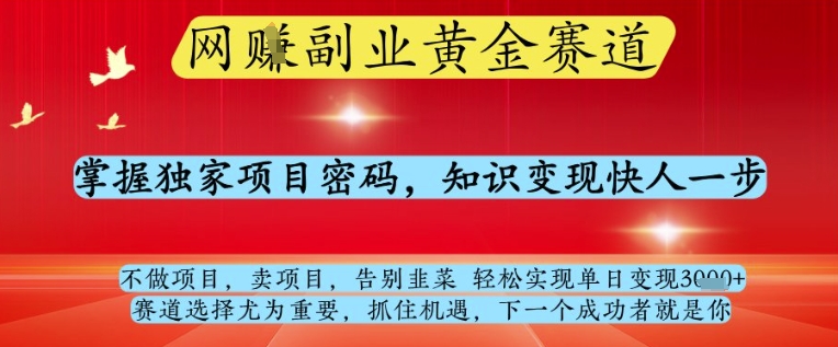 网创副业黄全赛道，掌握独家项目密码，知识变现快人一步，告别韭菜轻松实现单日变现1k+【揭秘】-聊项目
