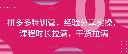 拼多多特训营，经验分享实操，课程时长拉满，干货拉满(更新25年4月)-聊项目