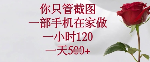 你只管截图，一部手机在家可以做，一小时120.一天5张+【揭秘】-聊项目