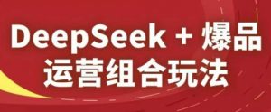 DeepSeek+爆品运营组合玩法，2025淘系精品课-聊项目