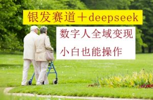 银发赛道+deepseek数字人全域变现,小白也能操作-聊项目