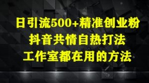 日引流500+精准创业粉，抖音共情自热打法，工作室都在用的方法-聊项目