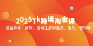 2025Tk跨境淘金课：涵盖养号、剪辑、店铺注册到选品、定价、营销等-聊项目