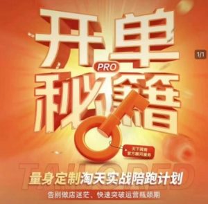 淘宝开单秘籍PRO，量身定制淘天实战陪跑计划，告别做店迷茫、快速突破运营瓶颈期(更新)-聊项目