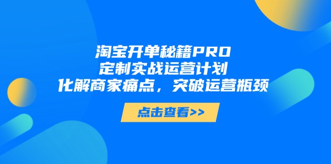 淘宝开单秘籍PRO，定制实战运营计划，化解商家痛点，突破运营瓶颈-聊项目