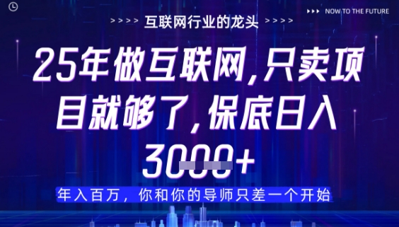 什么！25年你还在找项目做？风口早就变了，卖项目才是稳挣不赔【揭秘】-聊项目