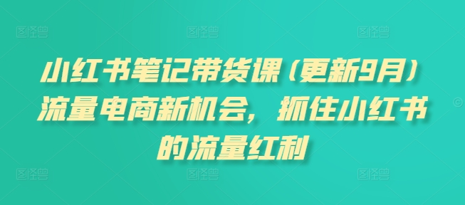 小红书笔记带货课(更新25年4月)流量电商新机会，抓住小红书的流量红利-聊项目