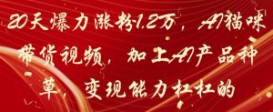 20天爆力涨粉1.2W，AI猫咪带货视频，加上AI产品种草，变现能力杠杠的-聊项目