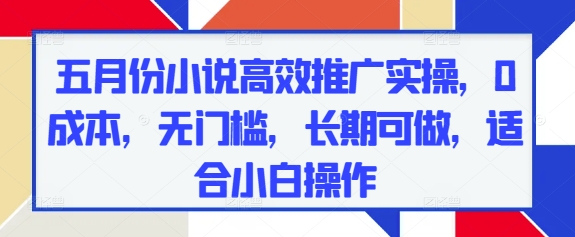 五月份小说高效推广实操，0成本，无门槛，长期可做，适合小白操作-聊项目