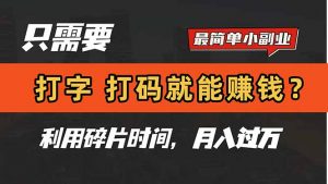 只需要打字，打码，就能赚钱？简单的赚钱小副业，利用碎片时间，月入过万-聊项目
